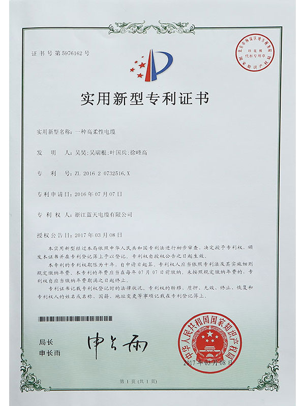 Letter of Patent I