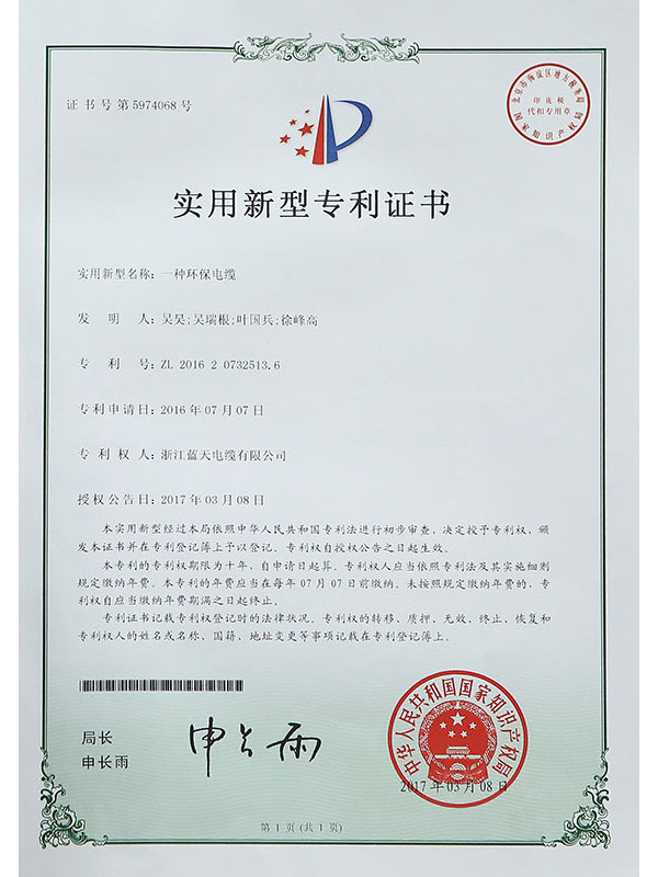Letter of Patent II