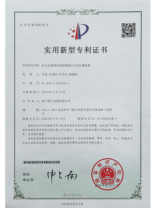 Letter of Patent III