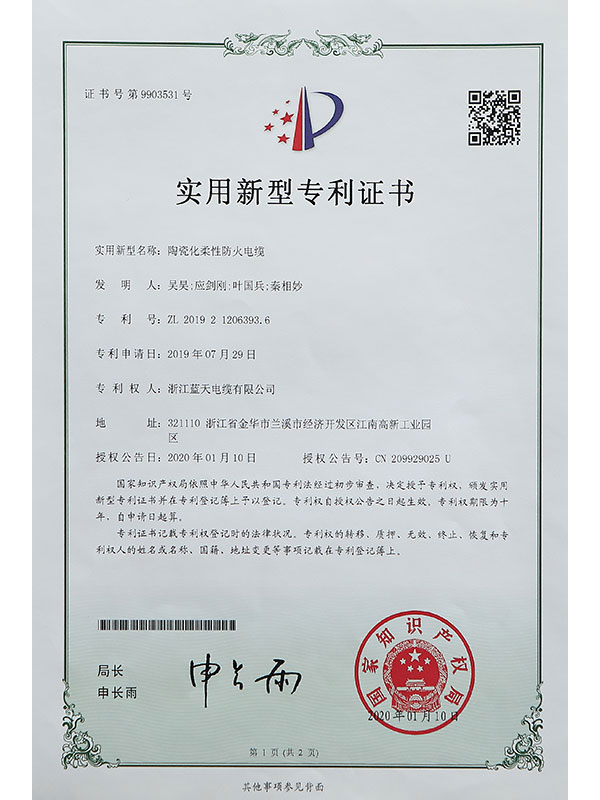 Letter of Patent IV