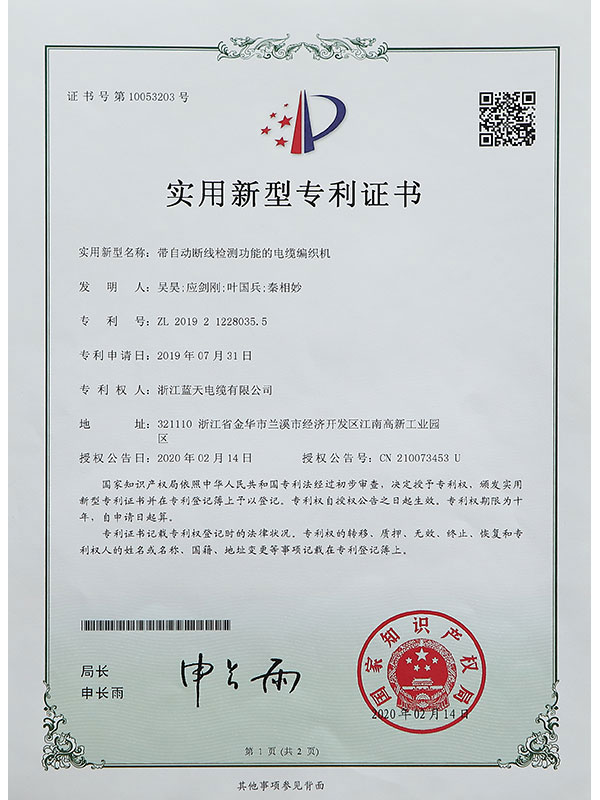 Letter of Patent VI