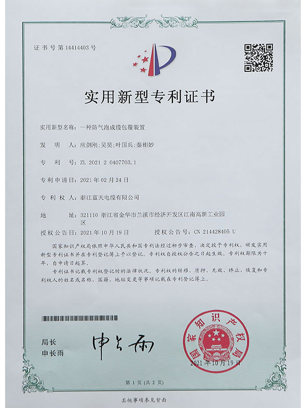 Letter of Patent VII