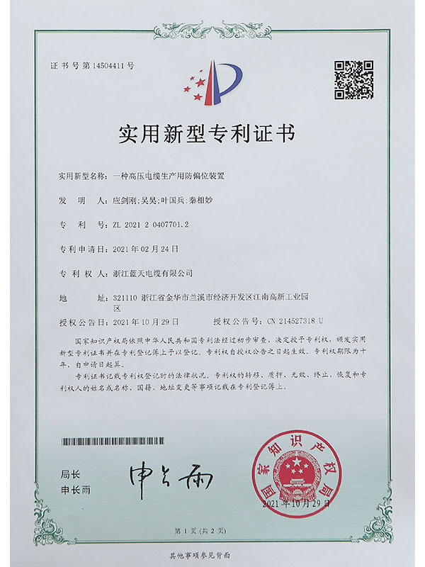 Letter of Patent VIII