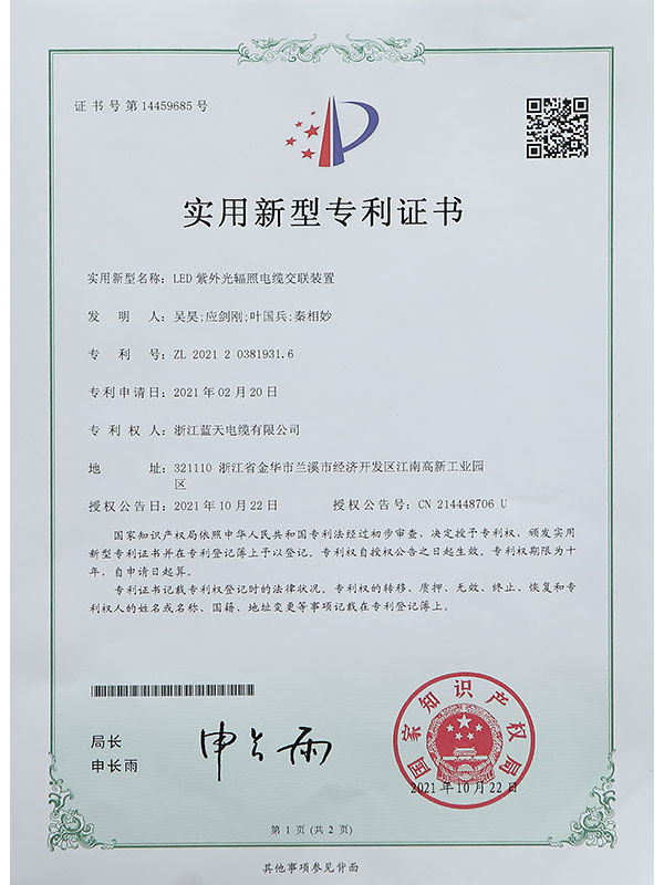 Letter of Patent Ⅸ