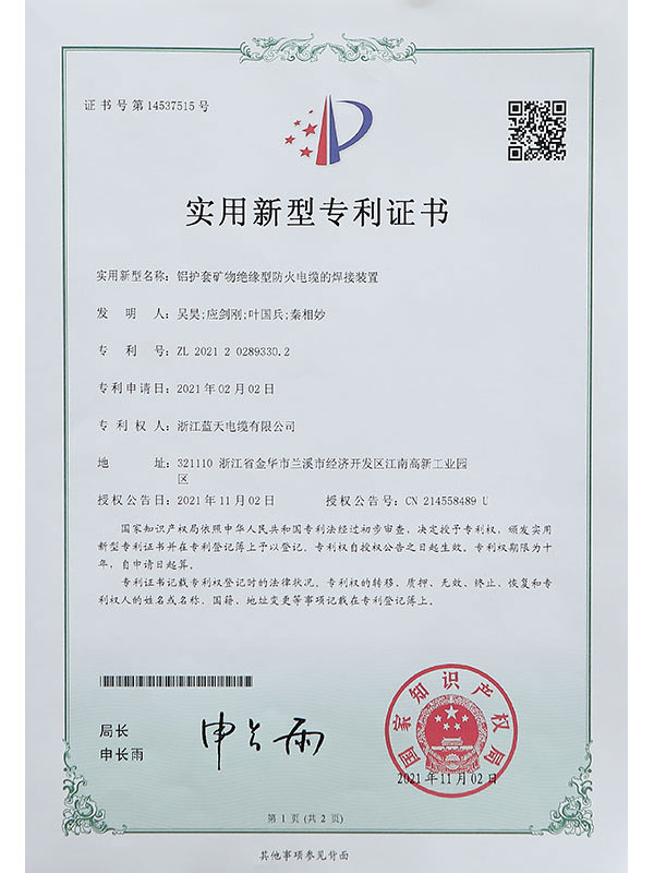 Letter of Patent Ⅹ