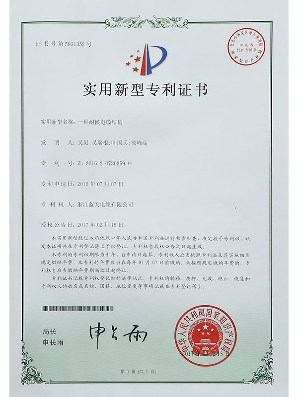 Letter of Patent XIV