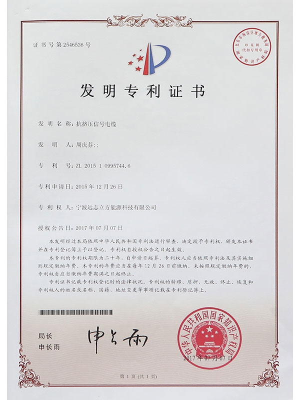 Letter of Patent XII