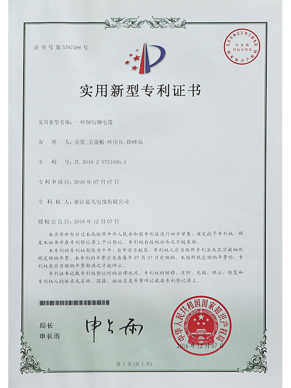 Letter of Patent XIII