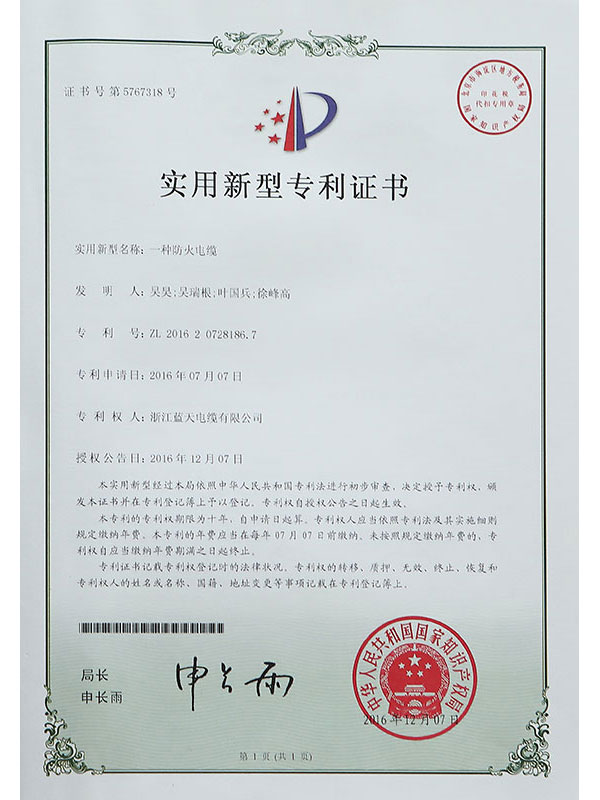 Letter of Patent XV